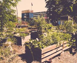 Referenz Gemeinschaftsgarten.jpg